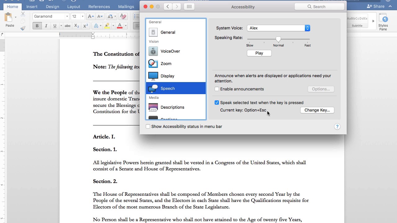how to inspect document in office 365 for mac